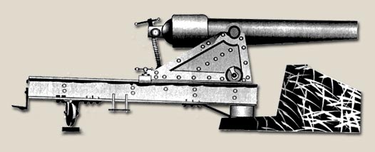 Illustration of A Swivel Mounted Parrot Rifle